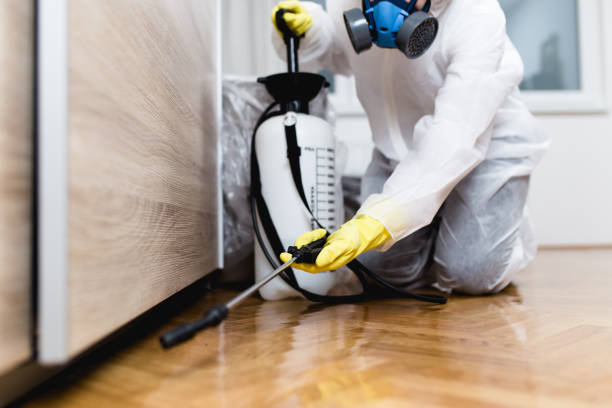 Reliable Brewerton, NY Pest Control Solutions