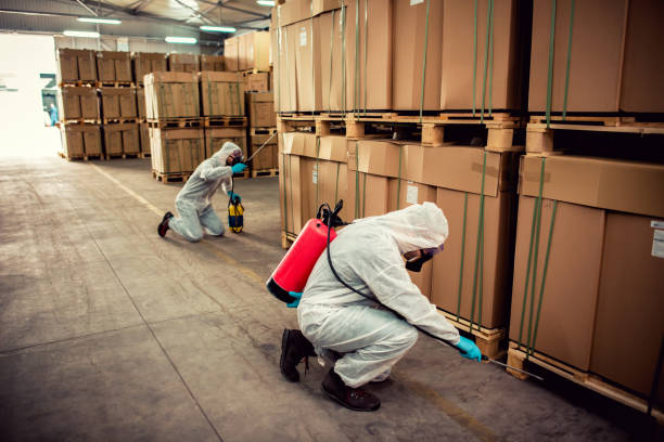 Best Local Pest Control Services  in Brewerton, NY