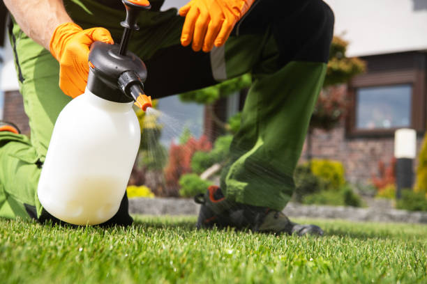 Pest Control Cost in Brewerton, NY