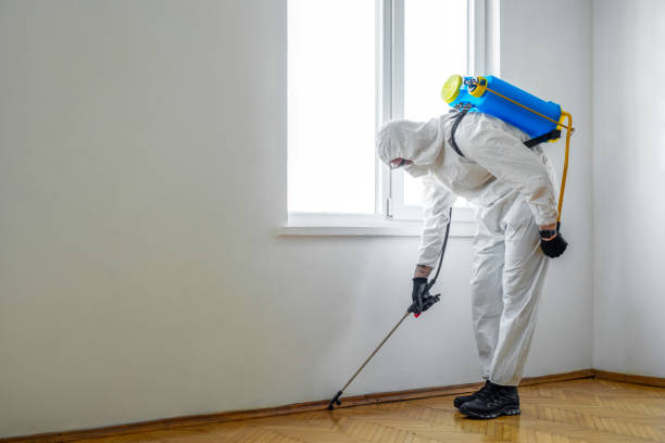 Best Pest Removal Services  in Brewerton, NY