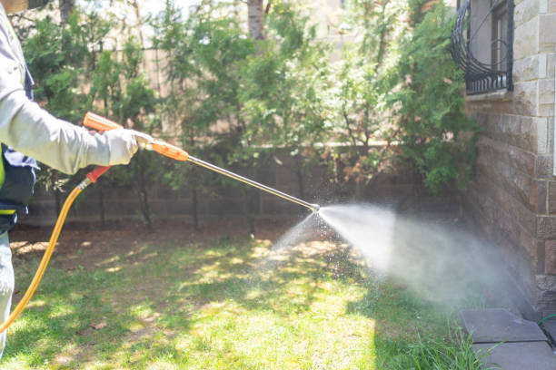 Best Pest Prevention Services  in Brewerton, NY