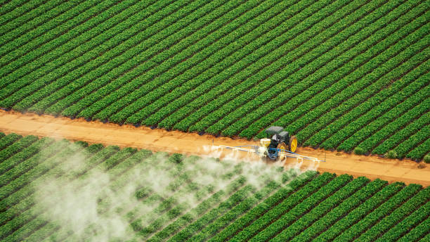 Best Affordable Exterminators  in Brewerton, NY