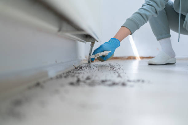 Best Residential Pest Control  in Brewerton, NY